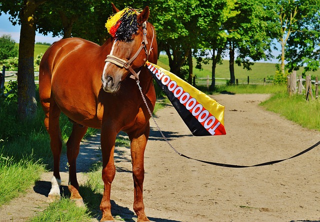 使得这场对 使得这场对