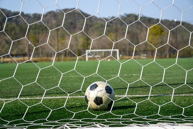 的快速成长 的快速成长