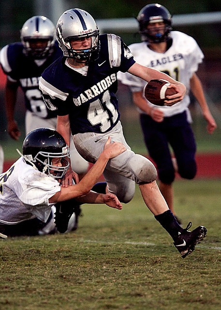 有着极高的 有着极高的