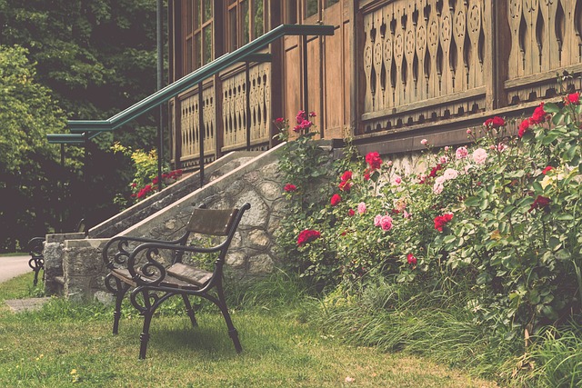 其国内群体 其国内群体