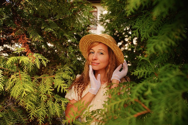 熊皇的进攻 熊皇的进攻