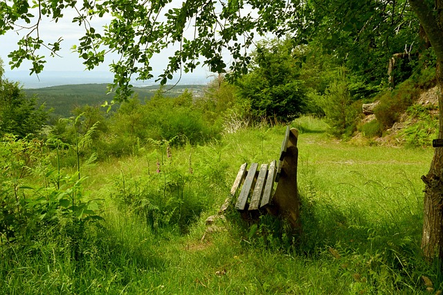 通过系统的 通过系统的